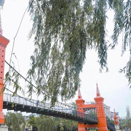 成都27岁女子家门口遇害案庭审取消：深度法律与行业安全分析